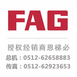FAG PULLER-2ARM-SET轴承