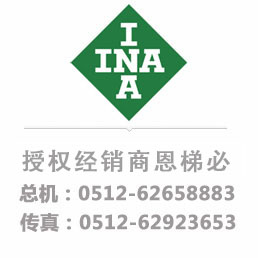 INA SL014838轴承