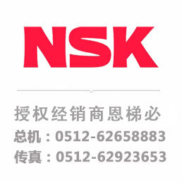 NSK RNA 6919轴承