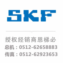 SKF PCM 455040 B轴承