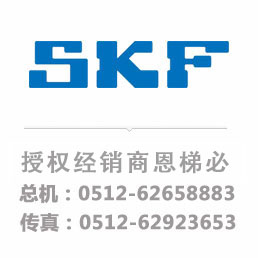 SKF 29460 E *轴承